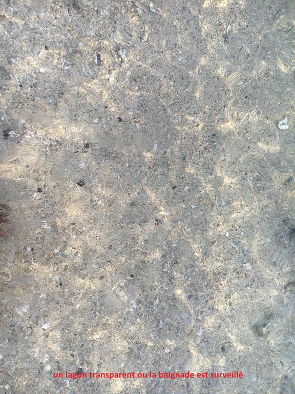 艾尔米塔什莱班A Pied Dans L Eau Ecolo 97434公寓 外观 照片